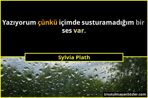 Sylvia Plath - Yazıyorum çünkü içimde susturamadığım bir ses var....