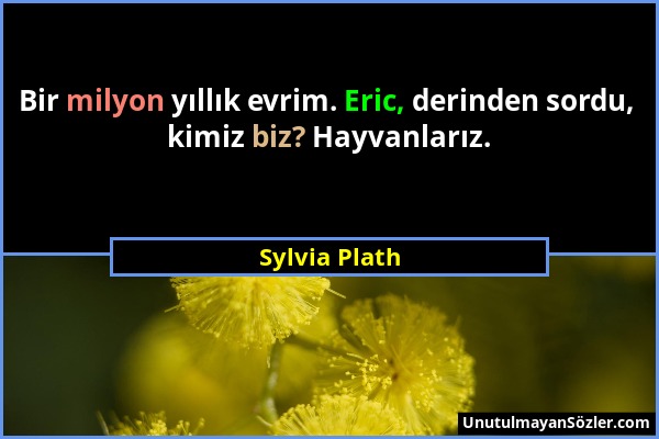 Sylvia Plath - Bir milyon yıllık evrim. Eric, derinden sordu, kimiz biz? Hayvanlarız....