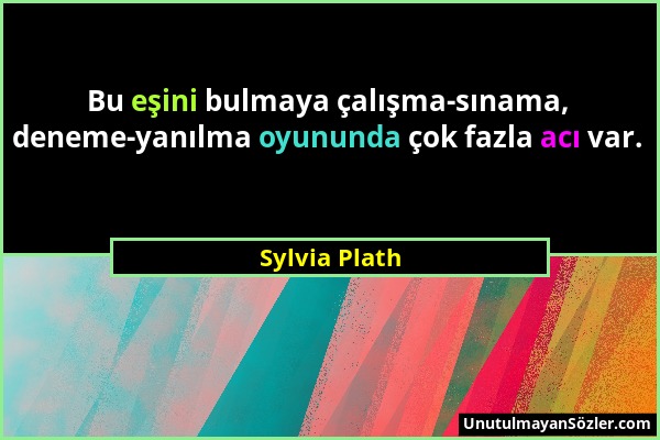 Sylvia Plath - Bu eşini bulmaya çalışma-sınama, deneme-yanılma oyununda çok fazla acı var....