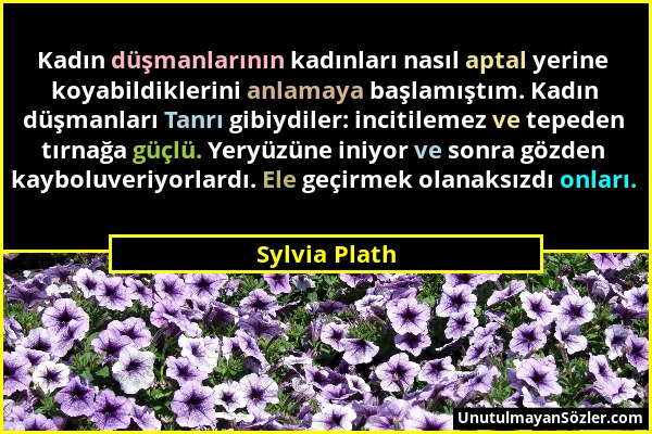 Sylvia Plath - Kadın düşmanlarının kadınları nasıl aptal yerine koyabildiklerini anlamaya başlamıştım. Kadın düşmanları Tanrı gibiydiler: incitilemez...