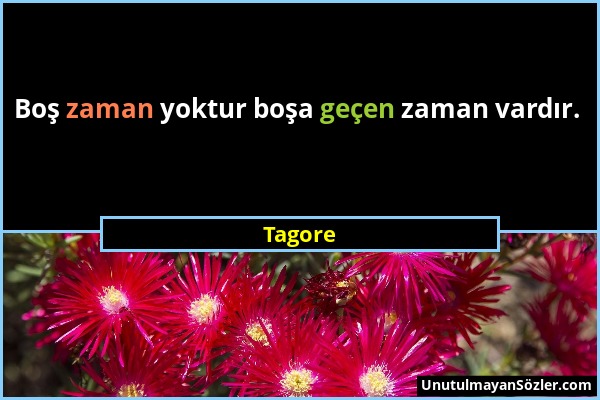 Tagore - Boş zaman yoktur boşa geçen zaman vardır....