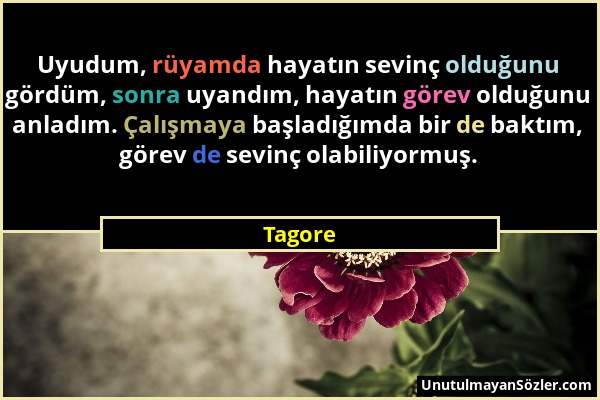 Tagore - Uyudum, rüyamda hayatın sevinç olduğunu gördüm, sonra uyandım, hayatın görev olduğunu anladım. Çalışmaya başladığımda bir de baktım, görev de...