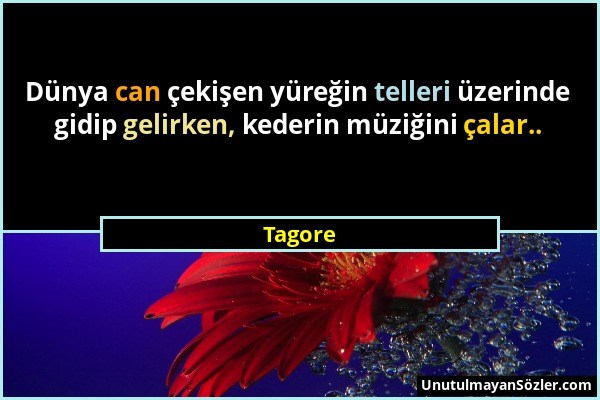 Tagore - Dünya can çekişen yüreğin telleri üzerinde gidip gelirken, kederin müziğini çalar.....