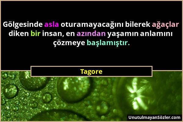 Tagore - Gölgesinde asla oturamayacağını bilerek ağaçlar diken bir insan, en azından yaşamın anlamını çözmeye başlamıştır....