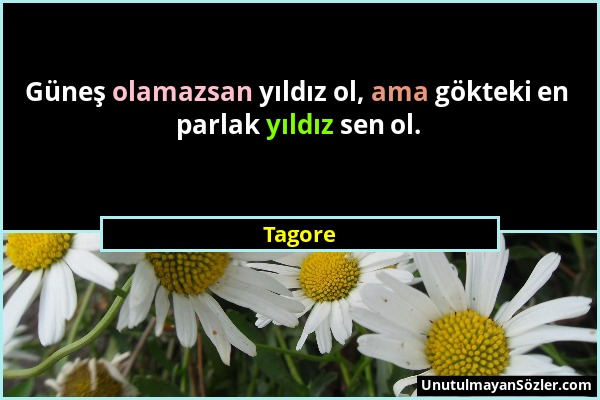 Tagore - Güneş olamazsan yıldız ol, ama gökteki en parlak yıldız sen ol....