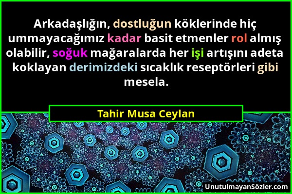 Tahir Musa Ceylan - Arkadaşlığın, dostluğun köklerinde hiç ummayacağımız kadar basit etmenler rol almış olabilir, soğuk mağaralarda her işi artışını a...