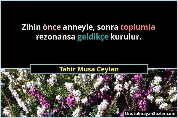 Tahir Musa Ceylan - Zihin önce anneyle, sonra toplumla rezonansa geldikçe kurulur....