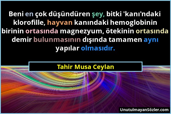 Tahir Musa Ceylan - Beni en çok düşündüren şey, bitki 'kanı'ndaki klorofille, hayvan kanındaki hemoglobinin birinin ortasında magnezyum, ötekinin orta...