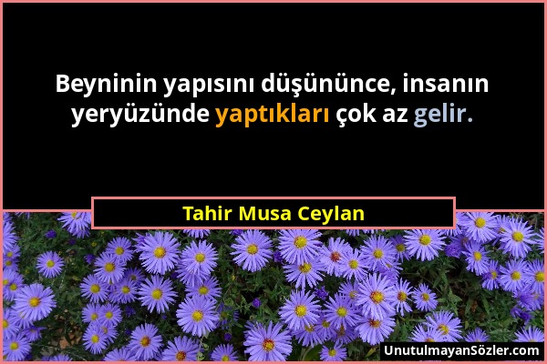 Tahir Musa Ceylan - Beyninin yapısını düşününce, insanın yeryüzünde yaptıkları çok az gelir....