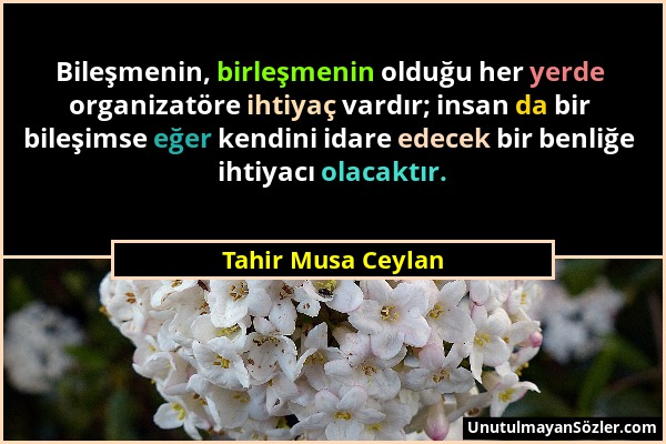 Tahir Musa Ceylan - Bileşmenin, birleşmenin olduğu her yerde organizatöre ihtiyaç vardır; insan da bir bileşimse eğer kendini idare edecek bir benliğe...