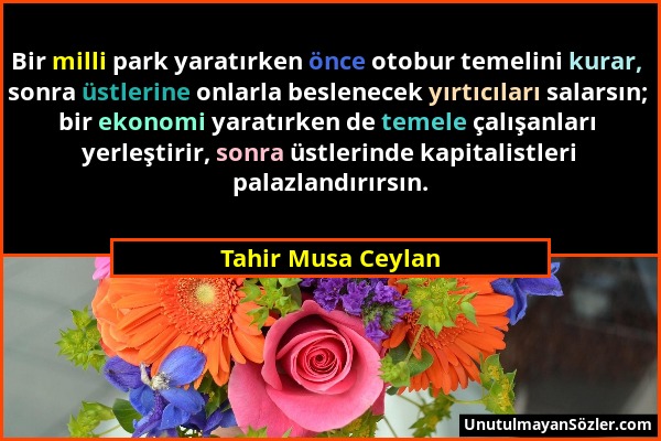 Tahir Musa Ceylan - Bir milli park yaratırken önce otobur temelini kurar, sonra üstlerine onlarla beslenecek yırtıcıları salarsın; bir ekonomi yaratır...