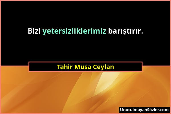 Tahir Musa Ceylan - Bizi yetersizliklerimiz barıştırır....