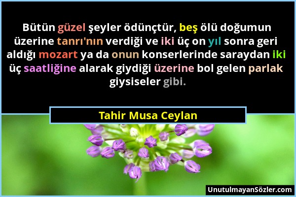 Tahir Musa Ceylan - Bütün güzel şeyler ödünçtür, beş ölü doğumun üzerine tanrı'nın verdiği ve iki üç on yıl sonra geri aldığı mozart ya da onun konser...