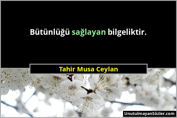 Tahir Musa Ceylan - Bütünlüğü sağlayan bilgeliktir....