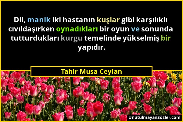 Tahir Musa Ceylan - Dil, manik iki hastanın kuşlar gibi karşılıklı cıvıldaşırken oynadıkları bir oyun ve sonunda tutturdukları kurgu temelinde yükselm...