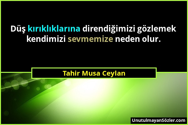 Tahir Musa Ceylan - Düş kırıklıklarına direndiğimizi gözlemek kendimizi sevmemize neden olur....