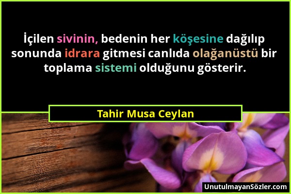 Tahir Musa Ceylan - İçilen sivinin, bedenin her köşesine dağılıp sonunda idrara gitmesi canlıda olağanüstü bir toplama sistemi olduğunu gösterir....