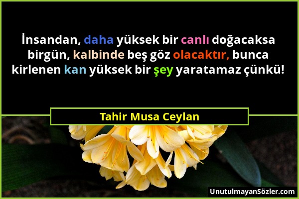 Tahir Musa Ceylan - İnsandan, daha yüksek bir canlı doğacaksa birgün, kalbinde beş göz olacaktır, bunca kirlenen kan yüksek bir şey yaratamaz çünkü!...