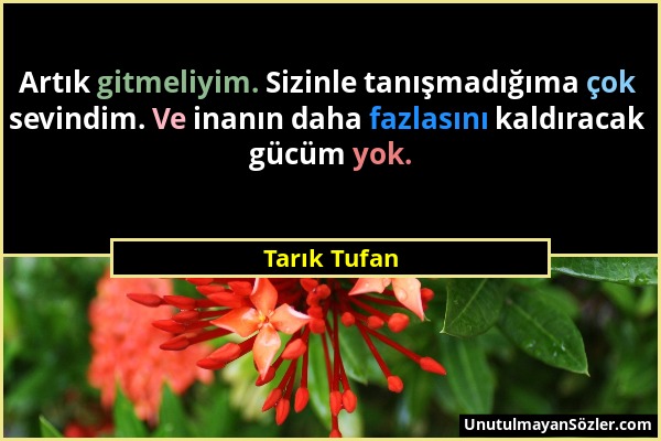 Tarık Tufan - Artık gitmeliyim. Sizinle tanışmadığıma çok sevindim. Ve inanın daha fazlasını kaldıracak gücüm yok....