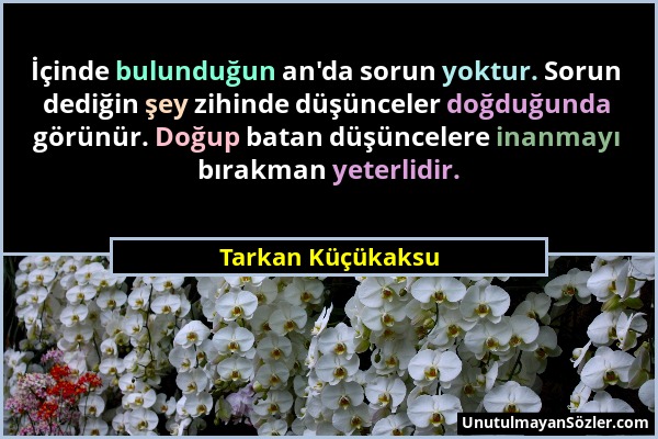 Tarkan Küçükaksu - İçinde bulunduğun an'da sorun yoktur. Sorun dediğin şey zihinde düşünceler doğduğunda görünür. Doğup batan düşüncelere inanmayı bır...