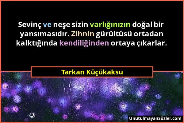 Tarkan Küçükaksu - Sevinç ve neşe sizin varlığınızın doğal bir yansımasıdır. Zihnin gürültüsü ortadan kalktığında kendiliğinden ortaya çıkarlar....