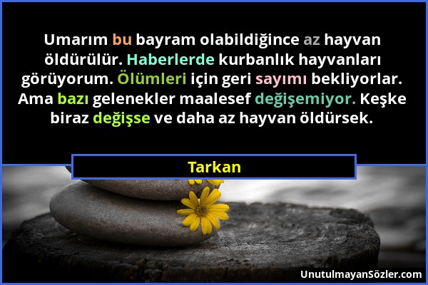 Tarkan - Umarım bu bayram olabildiğince az hayvan öldürülür. Haberlerde kurbanlık hayvanları görüyorum. Ölümleri için geri sayımı bekliyorlar. Ama baz...