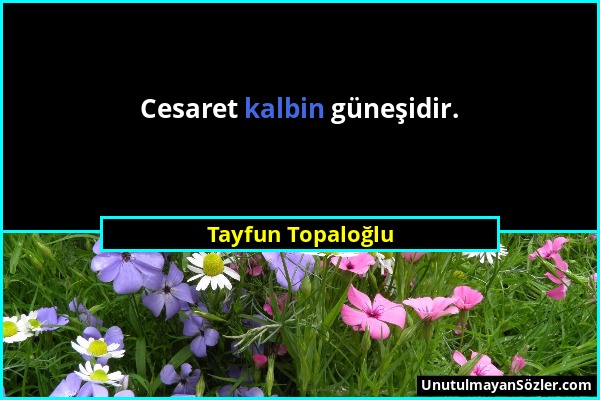 Tayfun Topaloğlu - Cesaret kalbin güneşidir....