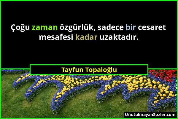 Tayfun Topaloğlu - Çoğu zaman özgürlük, sadece bir cesaret mesafesi kadar uzaktadır....