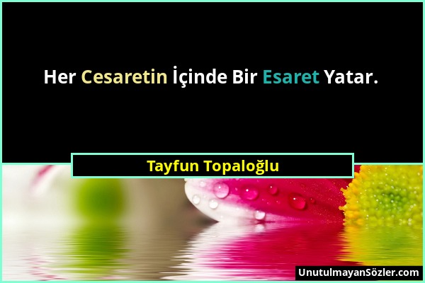 Tayfun Topaloğlu - Her Cesaretin İçinde Bir Esaret Yatar....