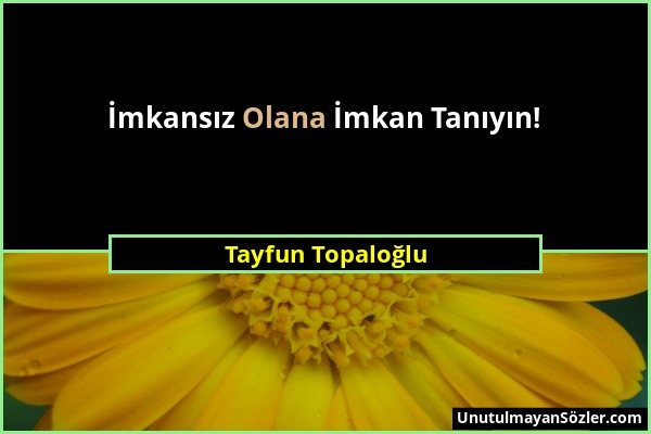 Tayfun Topaloğlu - İmkansız Olana İmkan Tanıyın!...