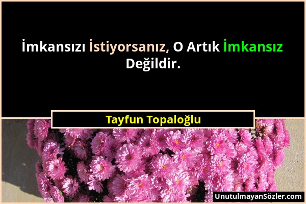 Tayfun Topaloğlu - İmkansızı İstiyorsanız, O Artık İmkansız Değildir....