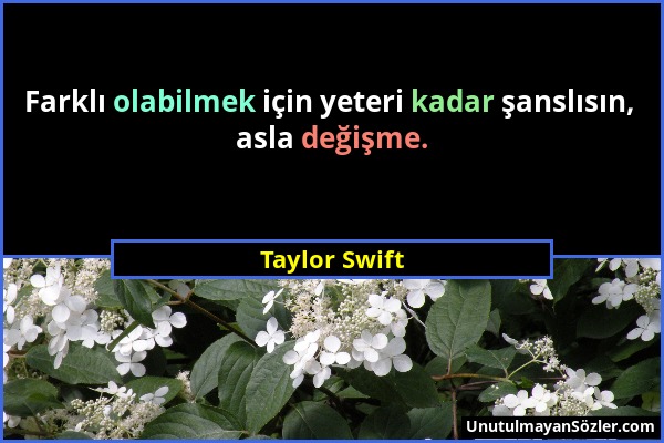 Taylor Swift - Farklı olabilmek için yeteri kadar şanslısın, asla değişme....