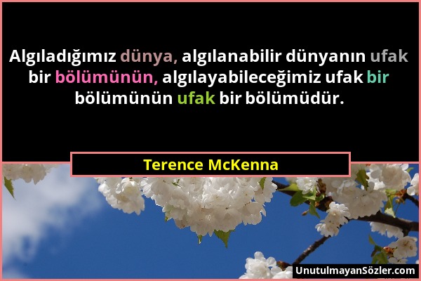 Terence McKenna - Algıladığımız dünya, algılanabilir dünyanın ufak bir bölümünün, algılayabileceğimiz ufak bir bölümünün ufak bir bölümüdür....