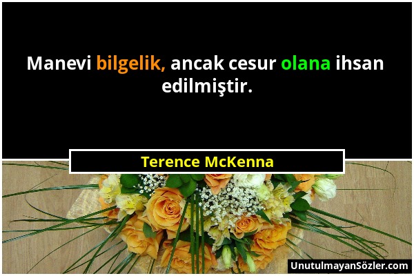 Terence McKenna - Manevi bilgelik, ancak cesur olana ihsan edilmiştir....