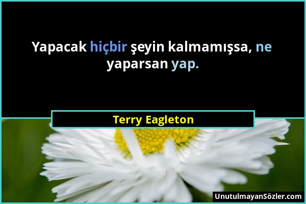 Terry Eagleton - Yapacak hiçbir şeyin kalmamışsa, ne yaparsan yap....