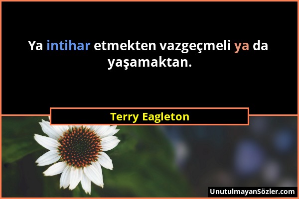 Terry Eagleton - Ya intihar etmekten vazgeçmeli ya da yaşamaktan....