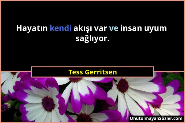 Tess Gerritsen - Hayatın kendi akışı var ve insan uyum sağlıyor....