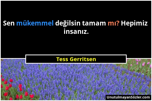 Tess Gerritsen - Sen mükemmel değilsin tamam mı? Hepimiz insanız....