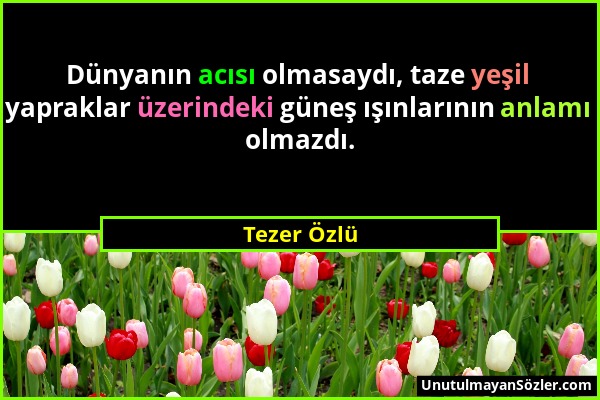 Tezer Özlü - Dünyanın acısı olmasaydı, taze yeşil yapraklar üzerindeki güneş ışınlarının anlamı olmazdı....