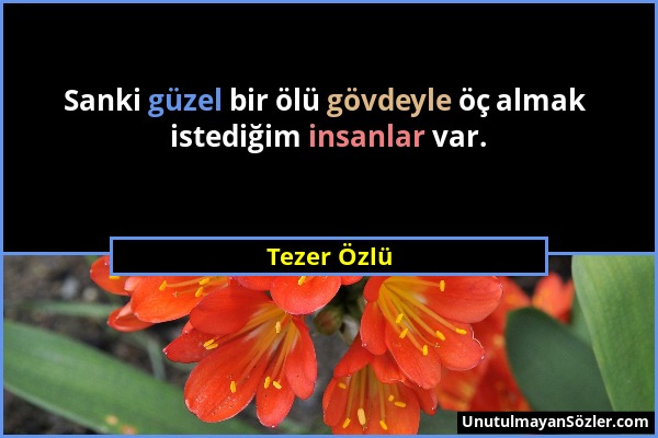 Tezer Özlü - Sanki güzel bir ölü gövdeyle öç almak istediğim insanlar var....