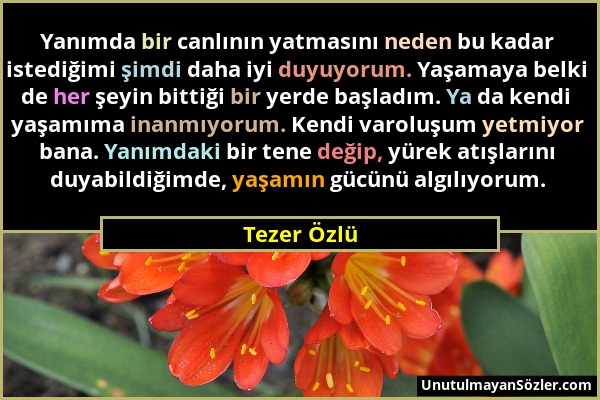 Tezer Özlü - Yanımda bir canlının yatmasını neden bu kadar istediğimi şimdi daha iyi duyuyorum. Yaşamaya belki de her şeyin bittiği bir yerde başladım...