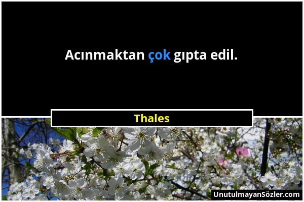 Thales - Acınmaktan çok gıpta edil....