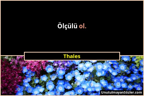 Thales - Ölçülü ol....