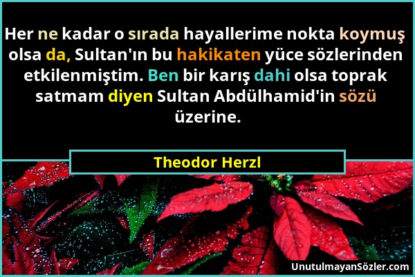 Theodor Herzl - Her ne kadar o sırada hayallerime nokta koymuş olsa da, Sultan'ın bu hakikaten yüce sözlerinden etkilenmiştim. Ben bir karış dahi olsa...