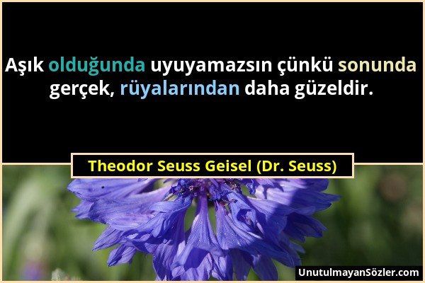 Theodor Seuss Geisel (Dr. Seuss) - Aşık olduğunda uyuyamazsın çünkü sonunda gerçek, rüyalarından daha güzeldir....