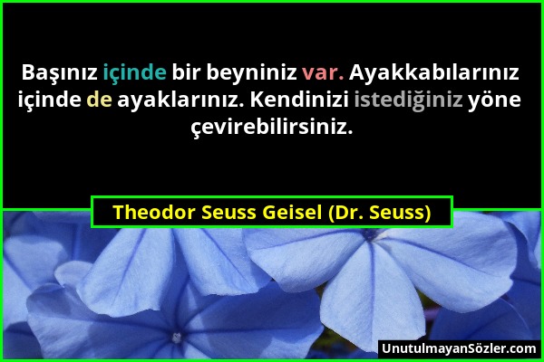 Theodor Seuss Geisel (Dr. Seuss) - Başınız içinde bir beyniniz var. Ayakkabılarınız içinde de ayaklarınız. Kendinizi istediğiniz yöne çevirebilirsiniz...