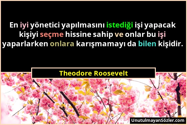 Theodore Roosevelt - En iyi yönetici yapılmasını istediği işi yapacak kişiyi seçme hissine sahip ve onlar bu işi yaparlarken onlara karışmamayı da bil...