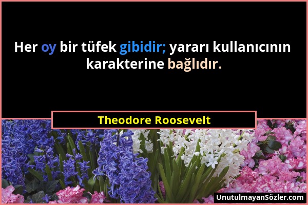 Theodore Roosevelt - Her oy bir tüfek gibidir; yararı kullanıcının karakterine bağlıdır....