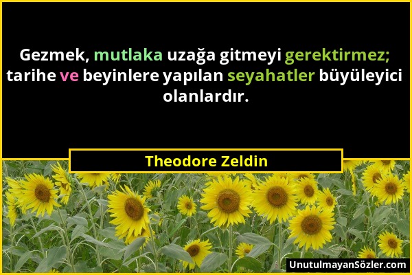 Theodore Zeldin - Gezmek, mutlaka uzağa gitmeyi gerektirmez; tarihe ve beyinlere yapılan seyahatler büyüleyici olanlardır....