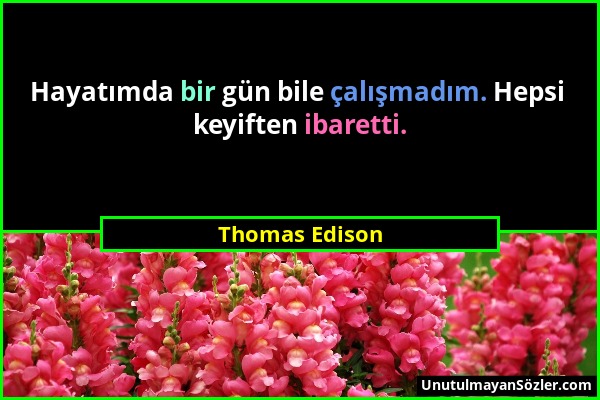 Thomas Edison - Hayatımda bir gün bile çalışmadım. Hepsi keyiften ibaretti....